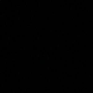 Meet your Posher, Rudy